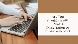 Dissertation Proposal Help for INB705 MA International Business